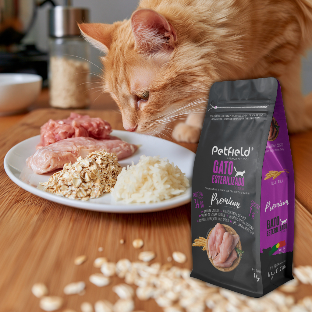 Gato Esterilizado